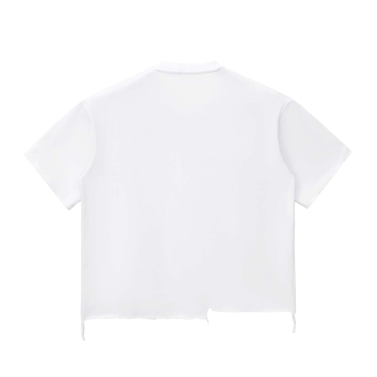GG Allin Hated in the Nation inspired Snow Wash Raw-Hem Boxy T-shirt